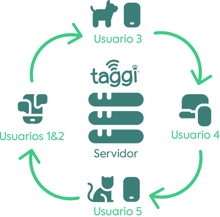 Esquema acceso a la información